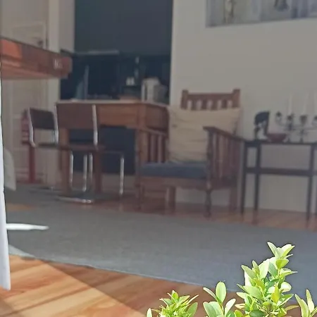 Apartamento Serralves 1108 -estudio 0